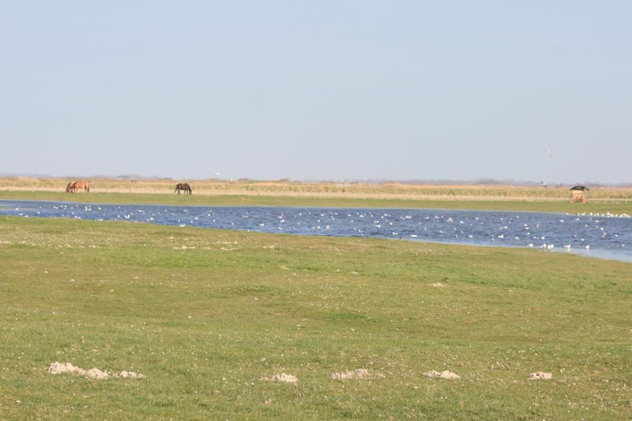 A Cote De La Mer Ault Exteriör bild