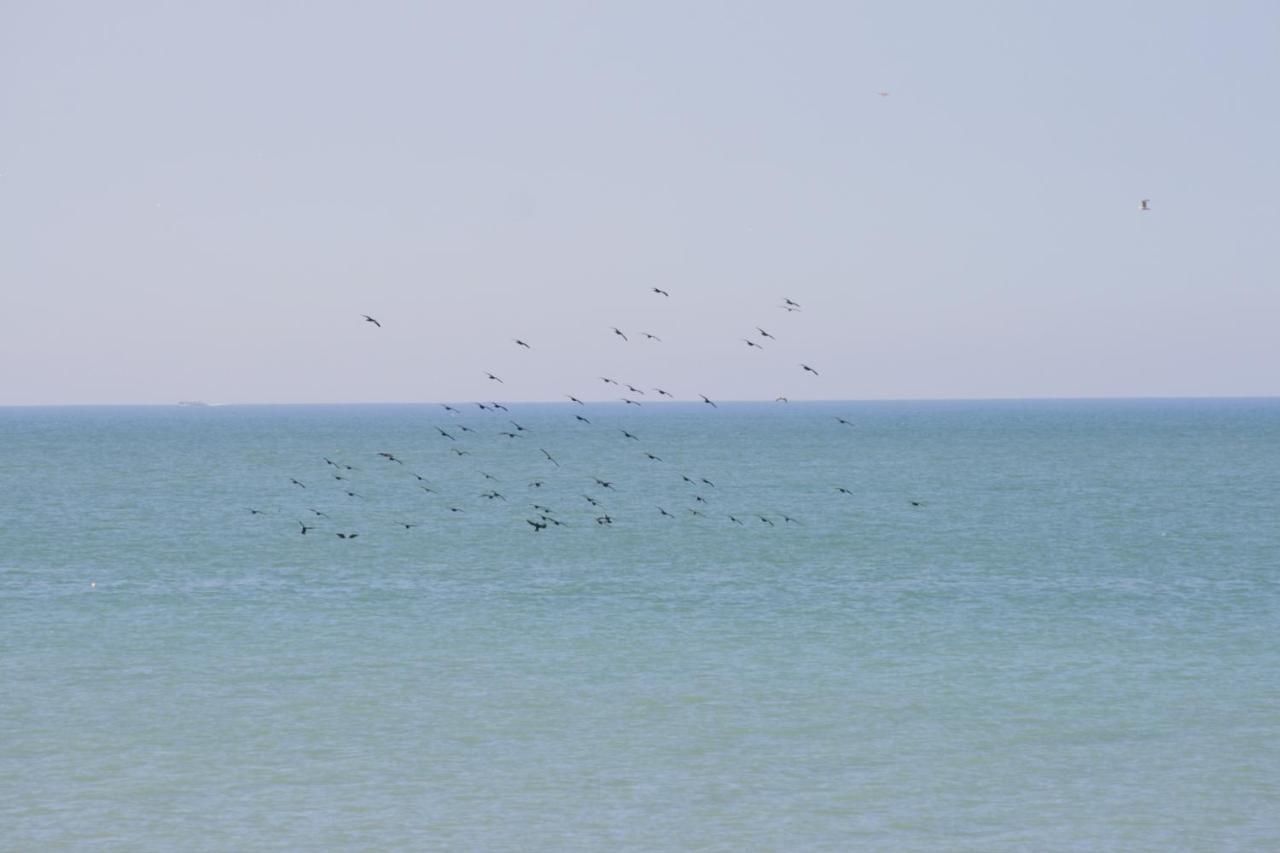A Cote De La Mer Ault Exteriör bild